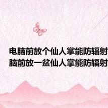 电脑前放个仙人掌能防辐射吗(电脑前放一盆仙人掌能防辐射吗)