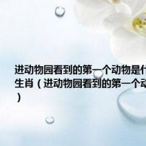 进动物园看到的第一个动物是什么打什么生肖(进动物园看到的第一个动物是什么)