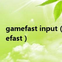 gamefast input(gamefast)