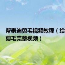帮泰迪剪毛视频教程(给泰迪狗剪毛完整视频)