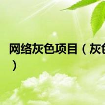 网络灰色项目（灰色项目）