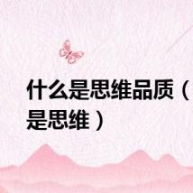 什么是思维品质（什么是思维）