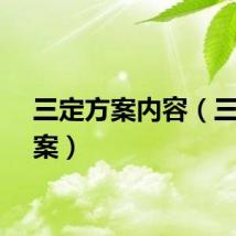 三定方案内容（三定方案）