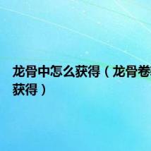 龙骨中怎么获得（龙骨卷轴怎么获得）