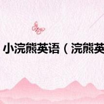 小浣熊英语（浣熊英语）