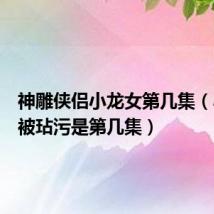 神雕侠侣小龙女第几集(小龙女被玷污是第几集)
