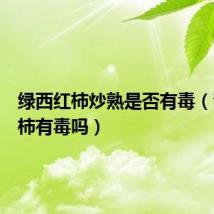 绿西红柿炒熟是否有毒(青西红柿有毒吗)