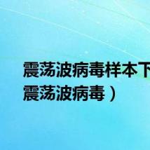 震荡波病毒样本下载（震荡波病毒）