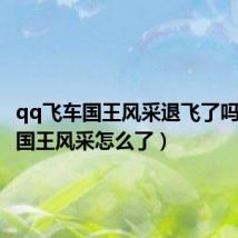 qq飞车国王风采退飞了吗(飞车国王风采怎么了)