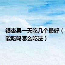 银杏果一天吃几个最好(银杏果能吃吗怎么吃法)