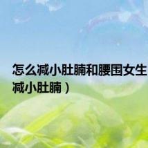 怎么减小肚腩和腰围女生(怎么减小肚腩)