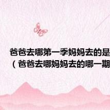 爸爸去哪第一季妈妈去的是哪一期(爸爸去哪妈妈去的哪一期)