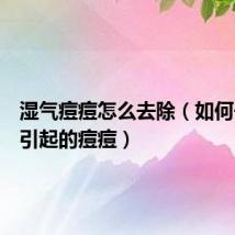 湿气痘痘怎么去除(如何去湿气引起的痘痘)