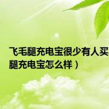飞毛腿充电宝很少有人买(飞毛腿充电宝怎么样)