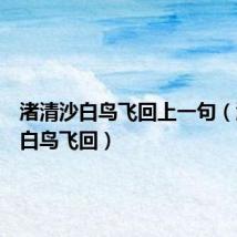 渚清沙白鸟飞回上一句(渚清沙白鸟飞回)
