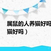 属鼠的人养猫好吗（养猫好吗）