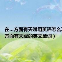 在…方面有天赋用英语怎么写(在 方面有天赋的英文单词)