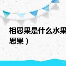 相思果是什么水果（相思果）