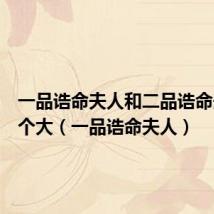 一品诰命夫人和二品诰命夫人哪个大(一品诰命夫人)