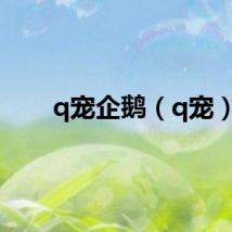 q宠企鹅（q宠）
