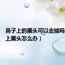 鼻子上的黑头可以去掉吗(鼻子上黑头怎么办)