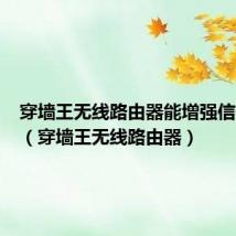 穿墙王无线路由器能增强信号辐射(穿墙王无线路由器)