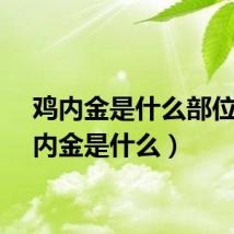 鸡内金是什么部位（鸡内金是什么）