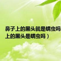 鼻子上的黑头就是螨虫吗(鼻子上的黑头是螨虫吗)