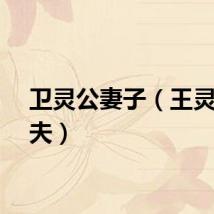卫灵公妻子（王灵卫子夫）