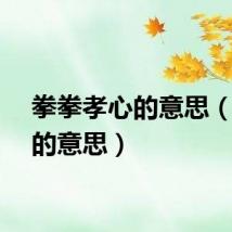 拳拳孝心的意思（孝心的意思）