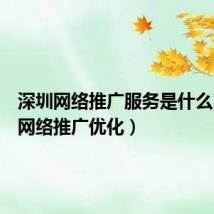 深圳网络推广服务是什么(深圳网络推广优化)