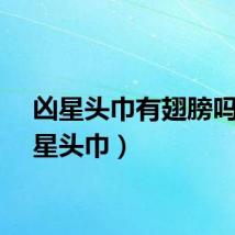 凶星头巾有翅膀吗（凶星头巾）