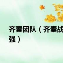 齐秦团队（齐秦战队四强）