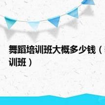 舞蹈培训班大概多少钱（舞蹈培训班）