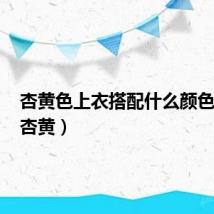 杏黄色上衣搭配什么颜色裤子（杏黄）
