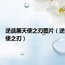 逆战黑天使之刃图片(逆战黑天使之刃)