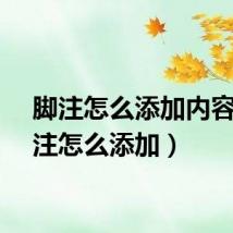 脚注怎么添加内容（脚注怎么添加）