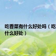 吃香菜有什么好处吗(吃香菜有什么好处)