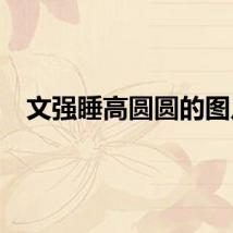 文强睡高圆圆的图片