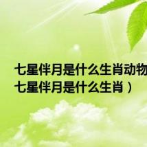 七星伴月是什么生肖动物图片(七星伴月是什么生肖)