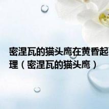 密涅瓦的猫头鹰在黄昏起飞的哲理(密涅瓦的猫头鹰)