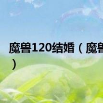 魔兽120结婚（魔兽1 20）