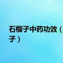 石榴子中药功效（石榴子）