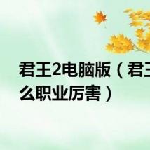 君王2电脑版(君王2什么职业厉害)
