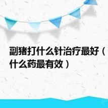 副猪打什么针治疗最好(副猪用什么药最有效)