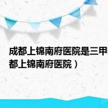 成都上锦南府医院是三甲吗(成都上锦南府医院)
