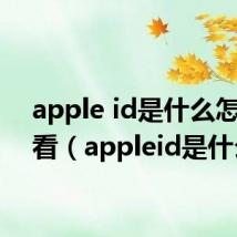 apple id是什么怎么查看(appleid是什么)