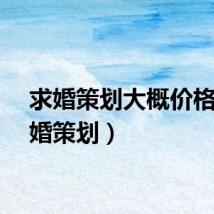 求婚策划大概价格（求婚策划）
