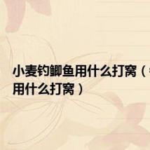 小麦钓鲫鱼用什么打窝(钓鲫鱼用什么打窝)