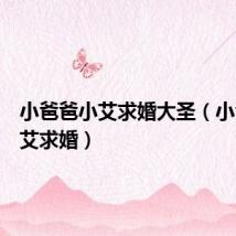 小爸爸小艾求婚大圣(小爸爸小艾求婚)